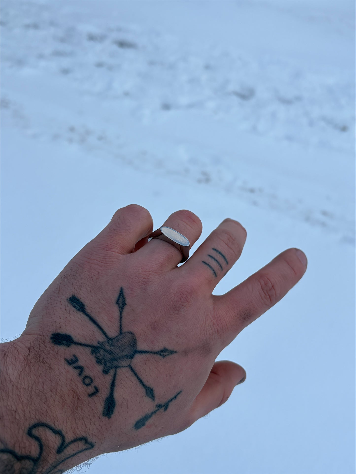 Titanium Signet