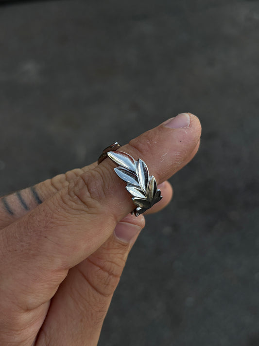 The Julius Ring