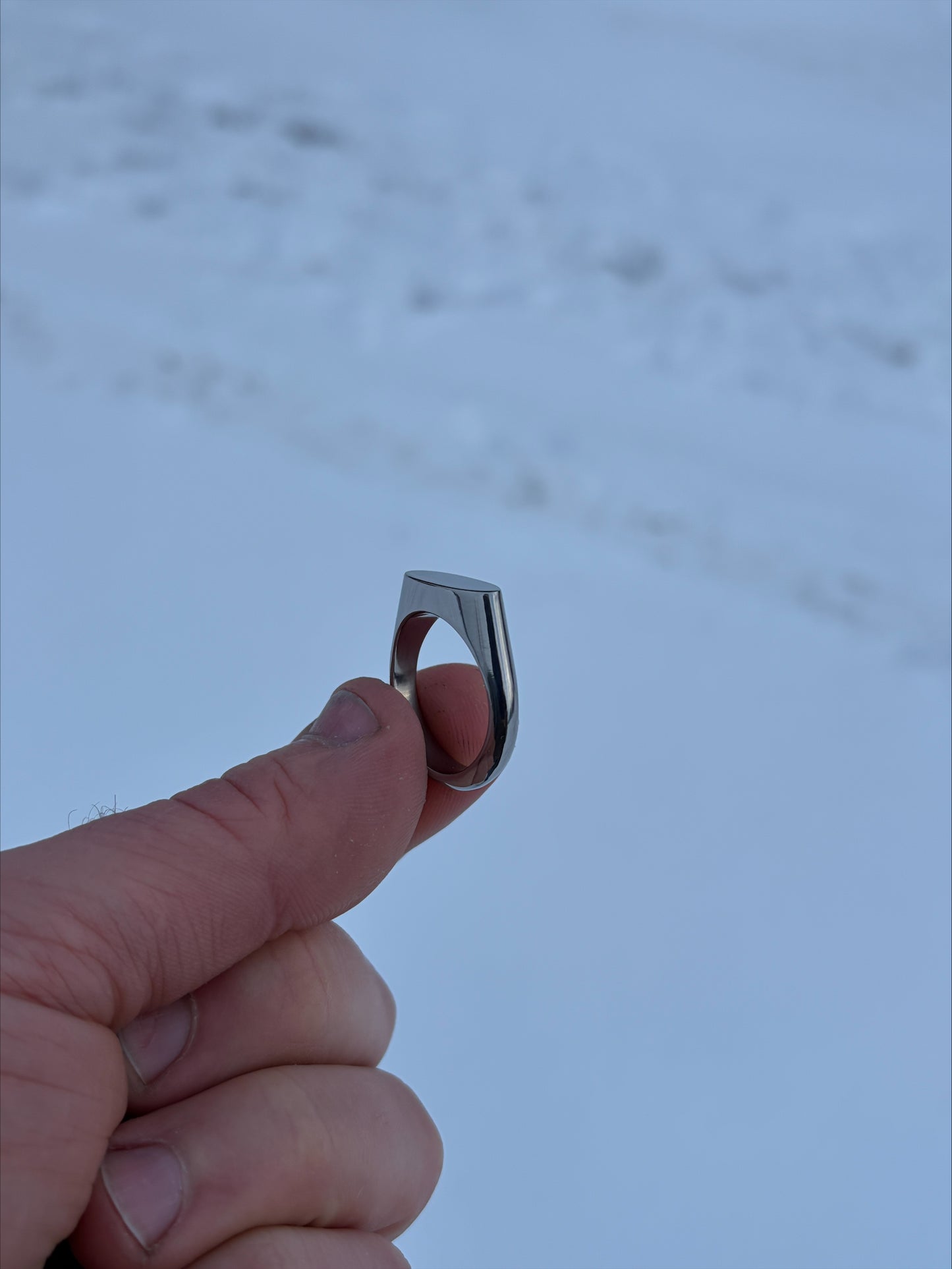 Titanium Signet