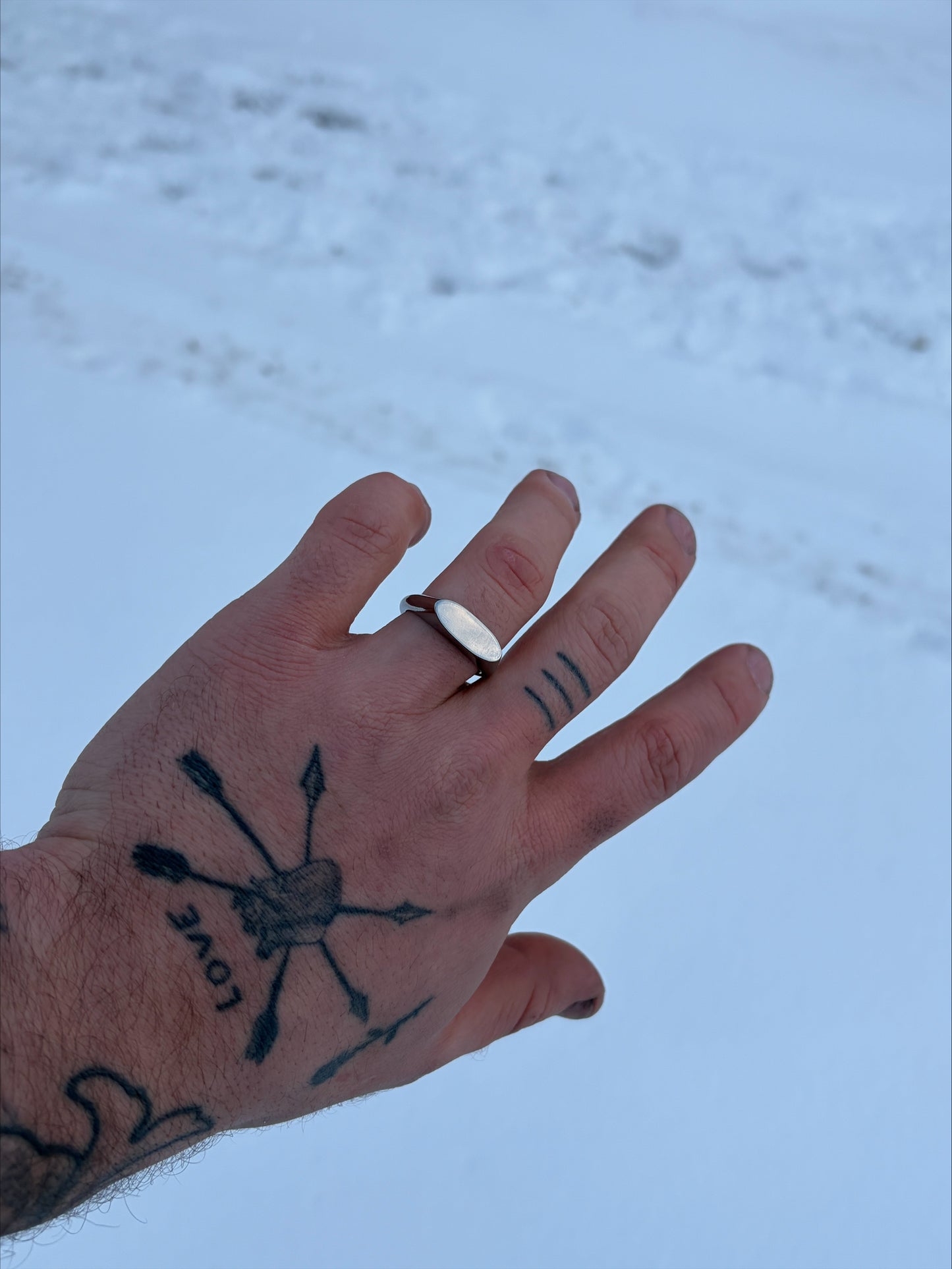 Titanium Signet