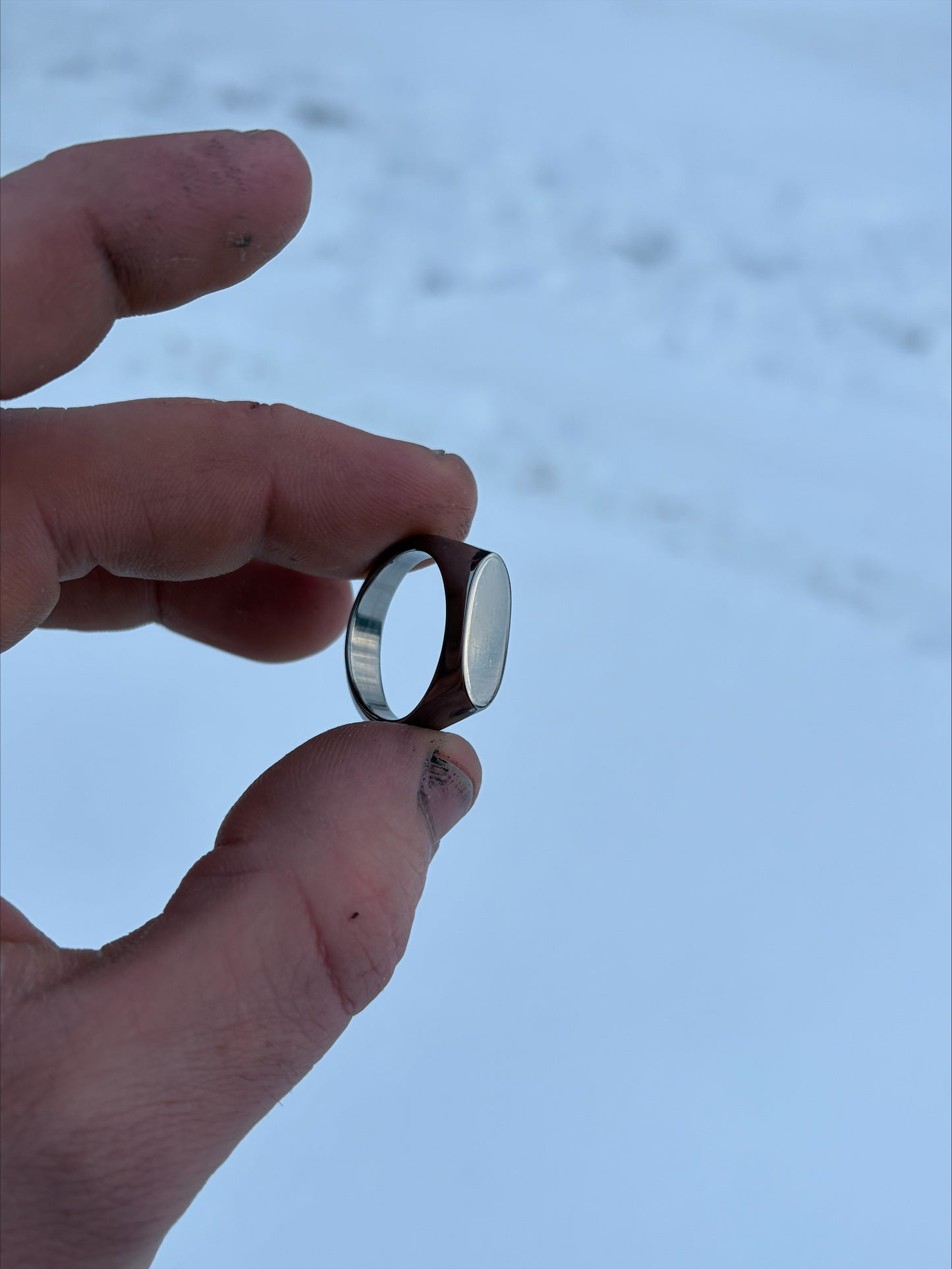 Titanium Signet